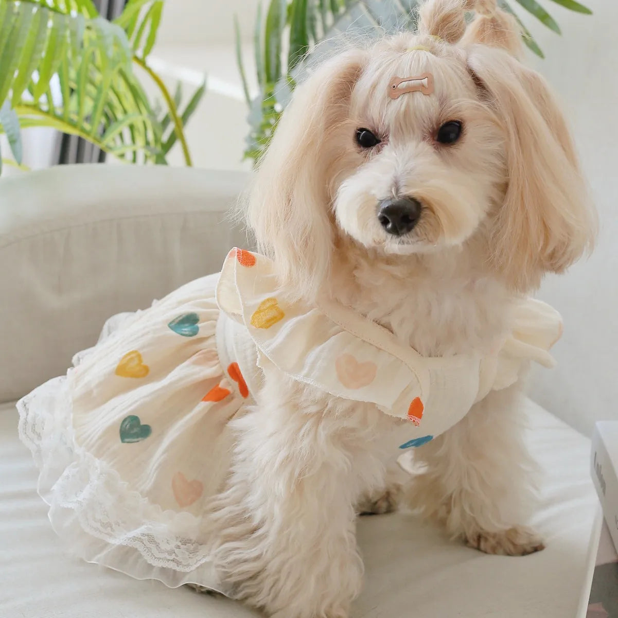 Pet Light Yellow Heart-shaped Little Fly Sleeve Dress Cat and Dog Four Season Vest Puppy Clothes Dog Dresses for Small Dogs