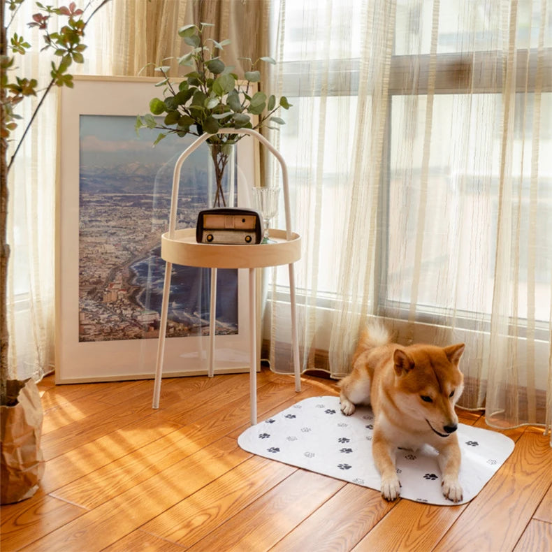 Waterproof Dog Pet Diaper Mat Reusable 3 Layer Absorbent Dog Bed Cat Diaper Pad Bone Paw Print Seat Cover Mat for Sofa Bed Floor