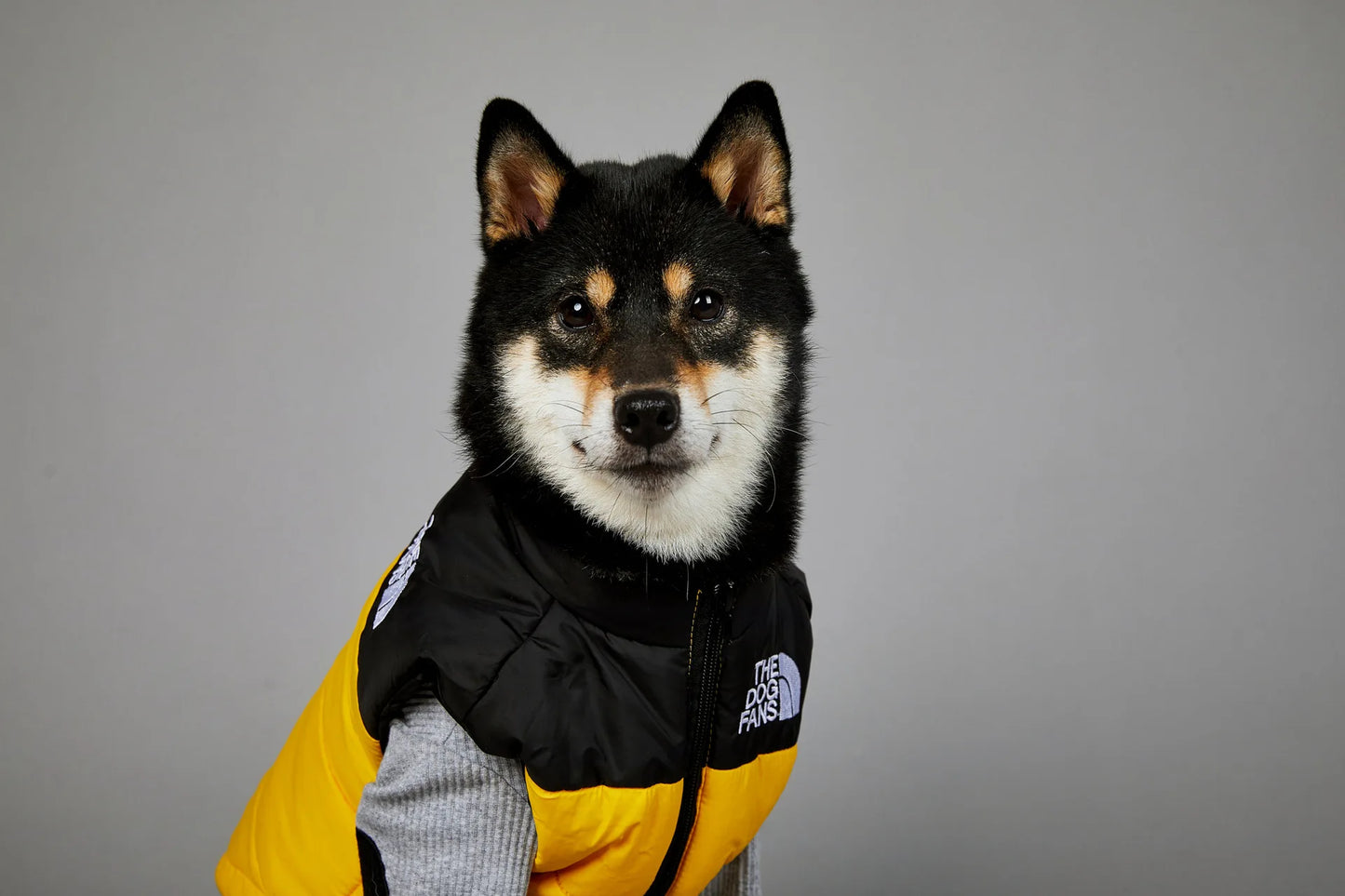 Dog Fans Punch Large Dogs Winter Warm Raincoat Anti Pet Cotton Clothing Windproof Rainproof Dog Coat