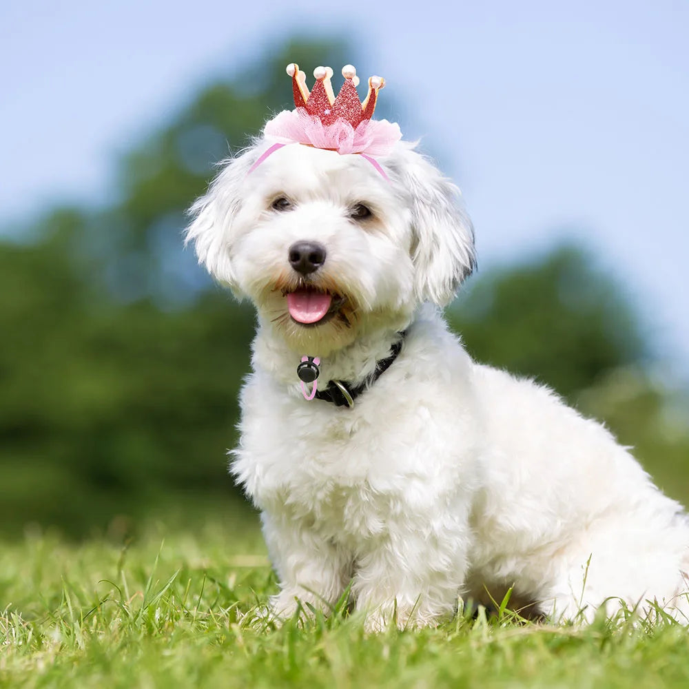 Pet Birthday Dog Crown Cap with Lace Pearl Red Series Sequin Decorate Hat with Adjustable Dog Accessories Puppy Cat Dog Product