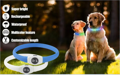 the NIGHTBEAM GLOW COLLAR - New Led Luminous Dog Collar, PVC Waterproof for Large/Medium/Small Dogs, Collar USB Light Night Safety, Pet Glowing Accessories