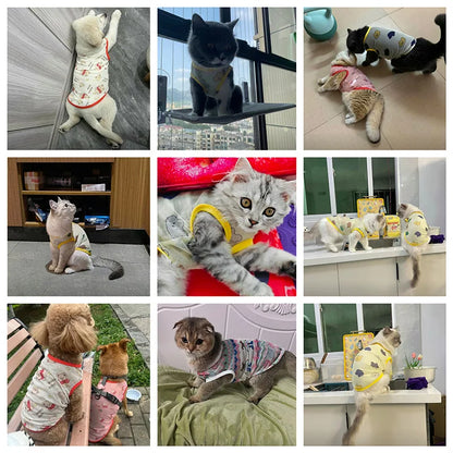 XS-6XL Dog Clothes Pet Thin Sunproof Outift Woolen Vest T-shirt for Small Medium Large Dogs Breathable Pet Clothing