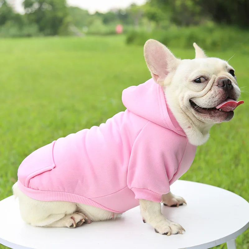 Cheap Dog Hoodie Winter Warm Dog Clothes for Small Medium Dogs French Bulldog Coat Puppy Cat Jacket Chihuahua Yorkie Pet Costume