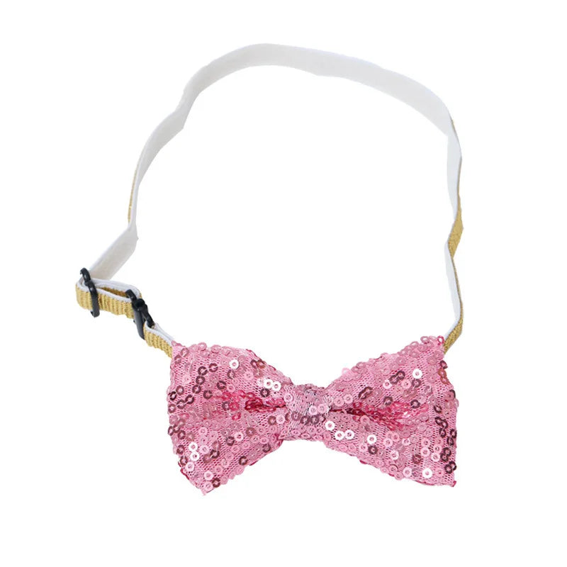 Pet Birthday Party Set Balloon Bandana Hat Bowtie Slogan Supplies for Celebrating Dog Products Supplies All for Pets Cats Party