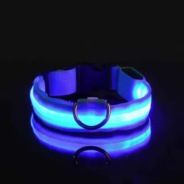 the GLOWTRAIL NIGHT COLLAR - BOOTEELY Nylon LED Night Safety Flashing Glow-in-the-Dark Dog Collar, Dogs Luminous Fluorescent Pet Dog Collar