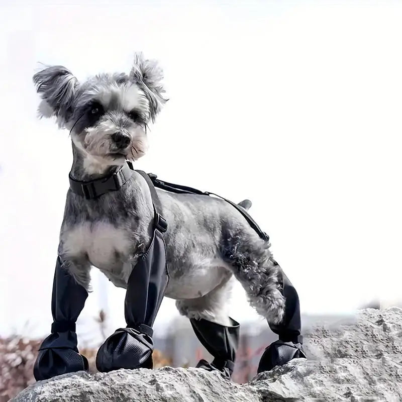 the RAINCOAT LEGGINGS - Dog Shoes, Waterproof Adjustable Dog Shoes, Anti-Slip Dog Boots, Outdoor Protective Accessories for Small and Medium Size Dogs