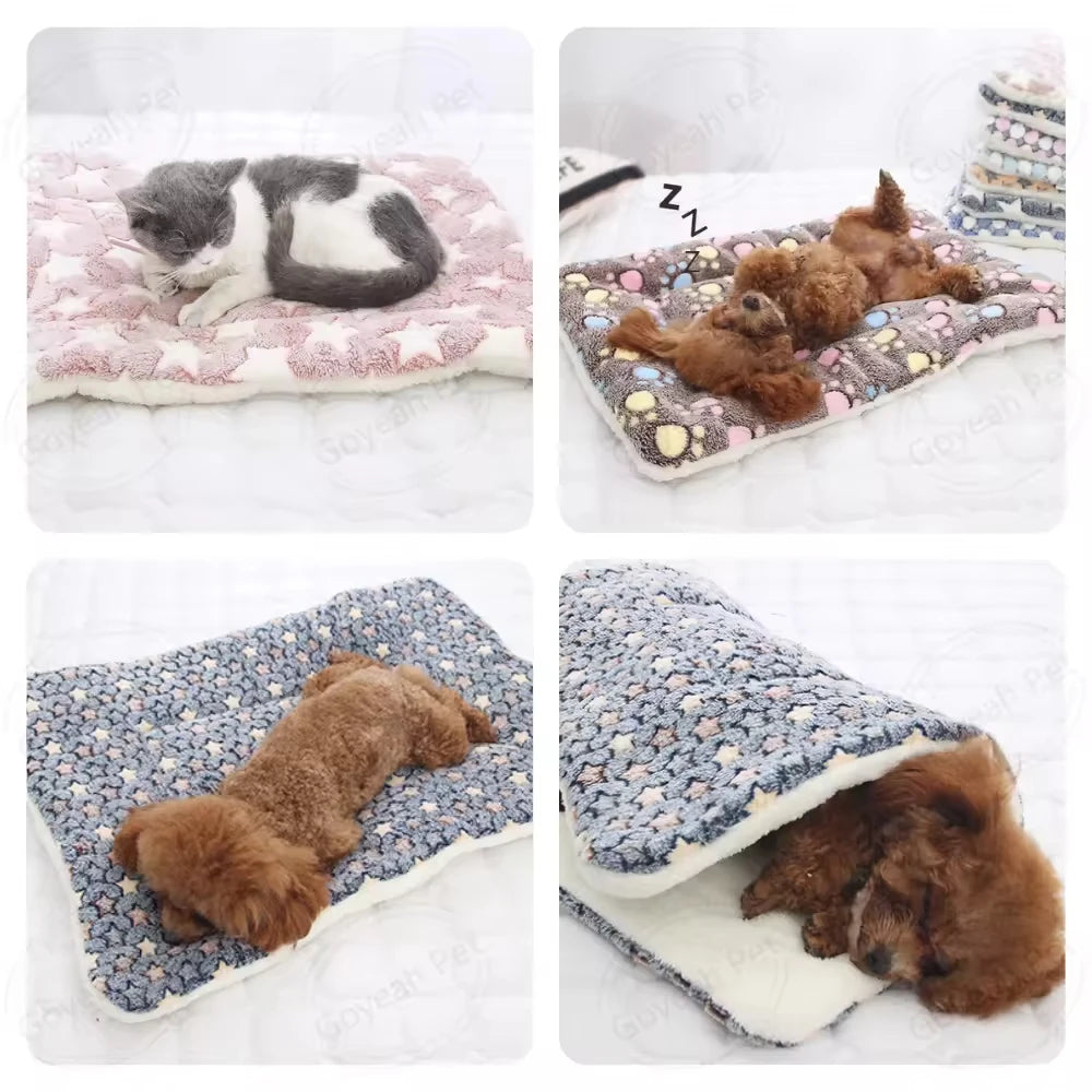 Pet Sleeping Mat Dog Bed Cat Bed Soft Hair Thickened Blanket Pad Fleece Home Washable Warm Bear Pattern Blanket Pet Supplies