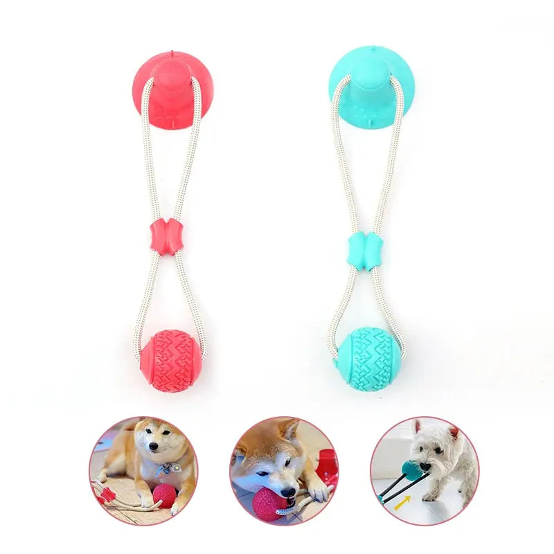 Dog Toys TPR Ball Teeth Grinding Cleaning Teeth Pet Play Suction Cup Elastic Pull Rope Chew Toy Dog Supplies
