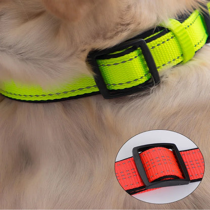 the SAFESTRIDE REFLECTIVE DOG COLLAR - Reflective Padded Dog Collar, Durable Strong Double D Ring, Safety Nylon Pet Dog Collars, Adjustable for Small/Medium/Large Dogs