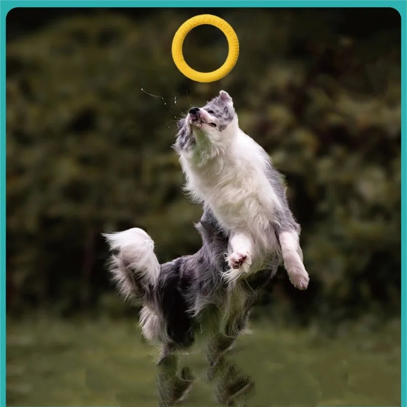 Dog Ring Toys Indestructible Chewing Flying Floating Training Tools Fetch for Small Medium Large Dogs Throwing Catching Flying