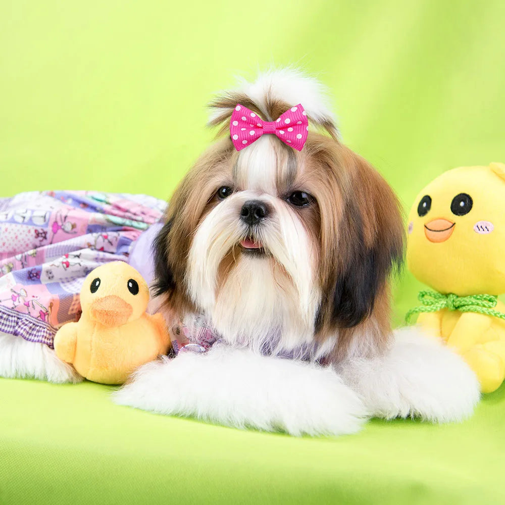 40Pcs Bulk Dog Bows Hair Accessories Pets Grooming Hair Clips Dot Dog Cat Bows Hairpin Girls Barrette for Small Dogs Supplies