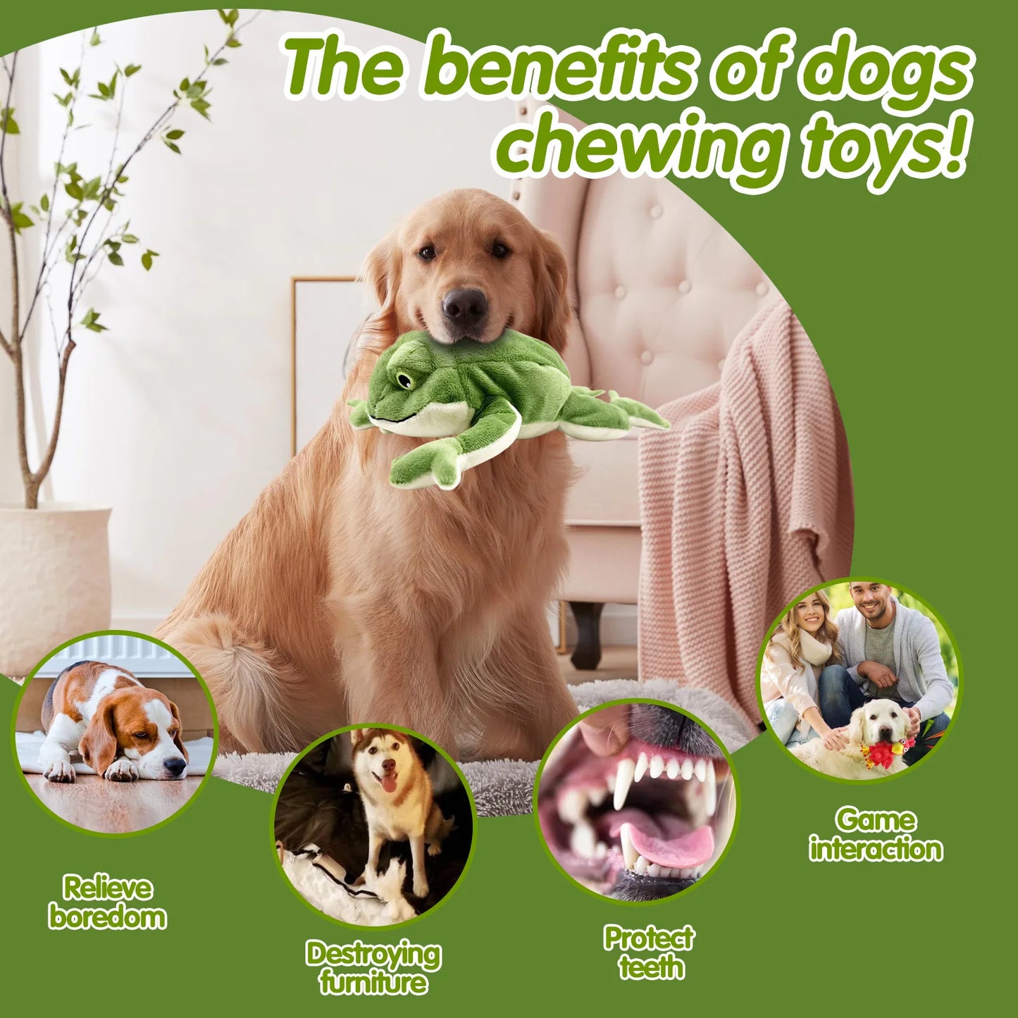 Pet dog plush toy,squeak,game interaction,peace of mind to accompany,release energy,vandal-proof,soft skin does not hurt teeth