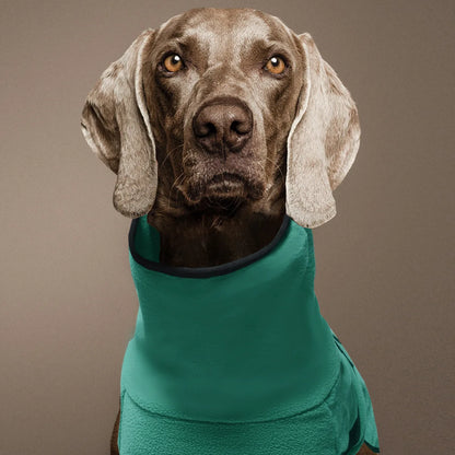 Winter Pet Dog Clothes Warm Big Dog Coat Puppy Clothing Pet Vest Jacket For Small Medium Large Dogs Golden Retriever