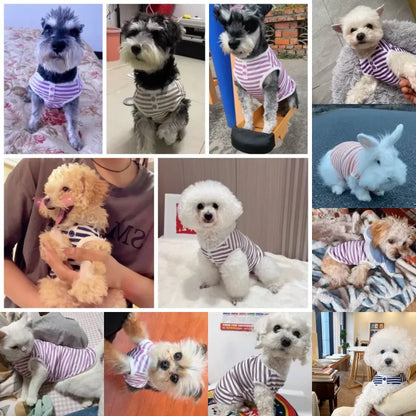 New Pet Dog Striped Sweatshirt Dog Clothes for Small Dogs Puppy Summer Clothes Soft Cat Dog Vest Bichon Chihuahua Dog Costumes