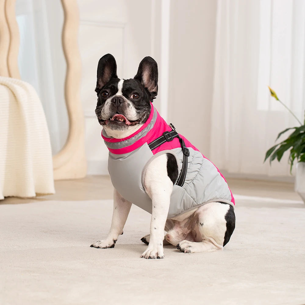 the PAWARMOR HARNESS JACKET - Waterproof Pet Jacket with Harness, Winter Warm Dog Clothes for Small/Large Dogs, Labrador Coat, Chihuahua, French Bulldog Outfits