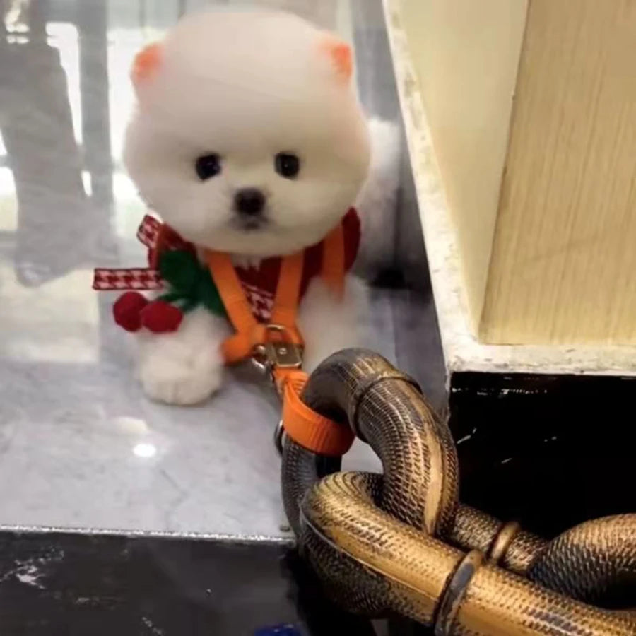 the IRONGRIP FUN CHAIN - Simulated Iron Chain, Dog with Dog Chain Traction Rope, Dog Rope, Funny Outdoor Plastic Thick Chain