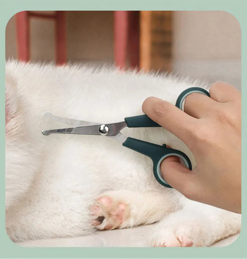 the BEAUTY TOOL SET - 8-in-1 Dog/Cat Grooming Comb Set, Pet Cleaning Brush Tool Set, Pet Multi-Functional Cleaning Set, Cat/Dog Hair Removal Brush Kit