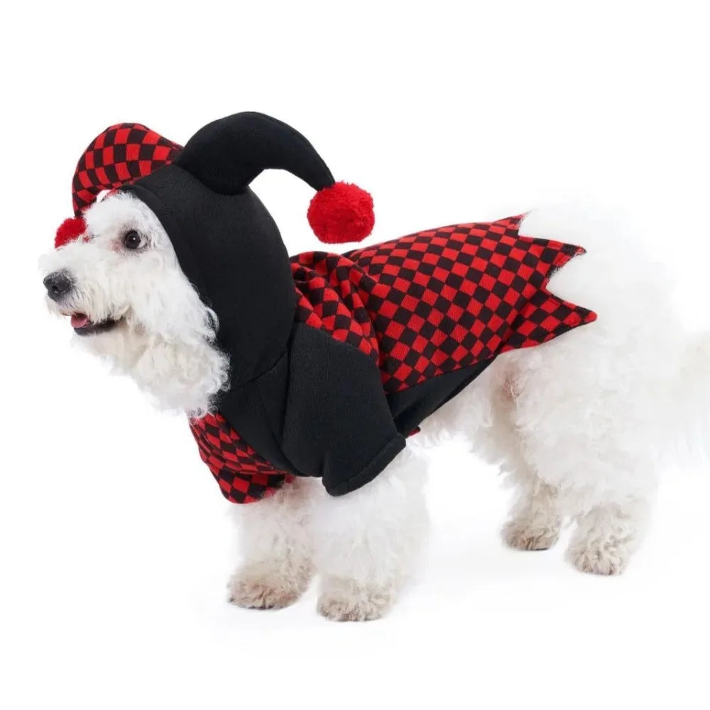 Pet Clothes Halloween Funny Pumpkin  Pirate Transformation Cat Small Dog Transformation Dress Photo Dog Clothes Pet Supplies