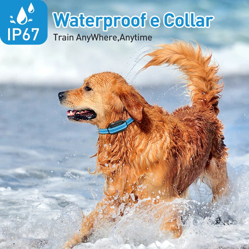 the DOG TRAINER COLLAR - Dog Training Collar with Remote 3300ft, Electric Dog Shock Collar for 3 Training Modes, Dogs E-Collar for Small/Medium/Large Dogs