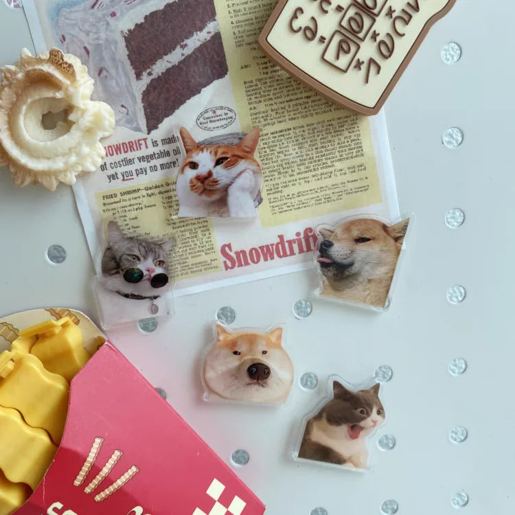 5pcs cute and Fun Cat Dog Refrigerator Magnets Creative Fridge Photo Message Magnet Decorative