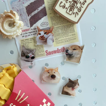 5pcs cute and Fun Cat Dog Refrigerator Magnets Creative Fridge Photo Message Magnet Decorative