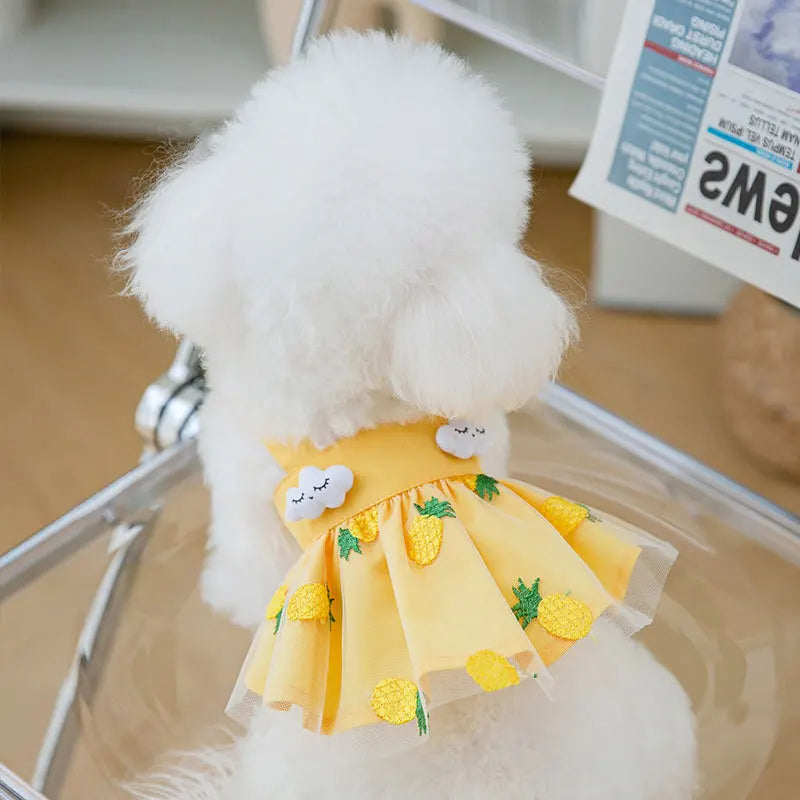 Dog Princess Dress Cute Pet Dog Mesh Dress Kitten Puppy Pet Skirt Dog Summer Dress Bow Lace Korean Poodle Chihuahua Dog Clothes