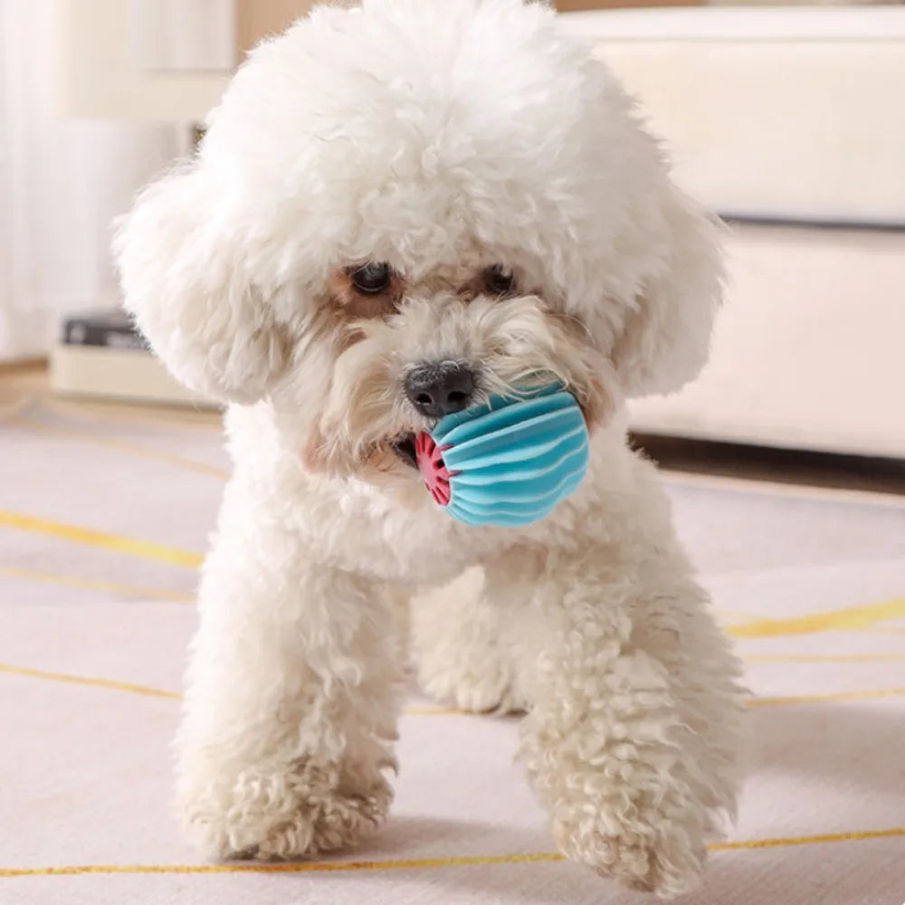 Dogs Interactive Toys TPR Dog Chew Toy Pet Teeth Cleaning Bite Resistance Dog Ball Puppy Sound Toy Pet Products Accessories