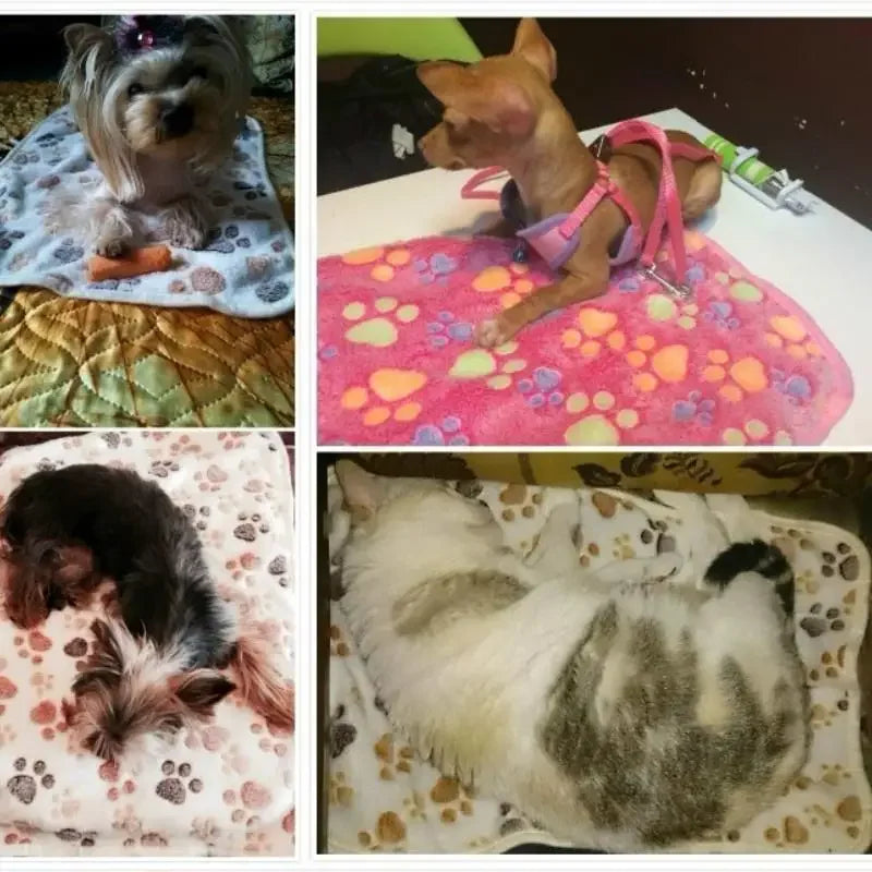 Practical 3 Colors Cute Floral Pet Sleep Warm Paw Print Dog Cat Puppy Fleece Soft Dog Blanket Pet Dog Mattress
