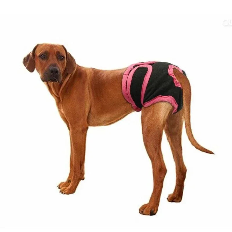 Washable Dog Diapers Physiological Pant Female Puppy Panties Shorts Underwear Cotton Female Dog Diper Panties Dog Cat Clothes