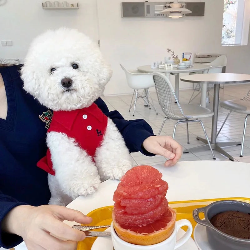 Dog Clothes Schnauzer Chihuahua Yorkie Polo Shirt Summer Dress Striped Pet T-Shirt Dog Costume Soft Pullover Suit for Dog Puppy