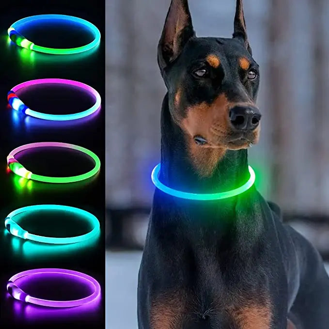 the NIGHTBEAM GLOW COLLAR - New Led Luminous Dog Collar, PVC Waterproof for Large/Medium/Small Dogs, Collar USB Light Night Safety, Pet Glowing Accessories