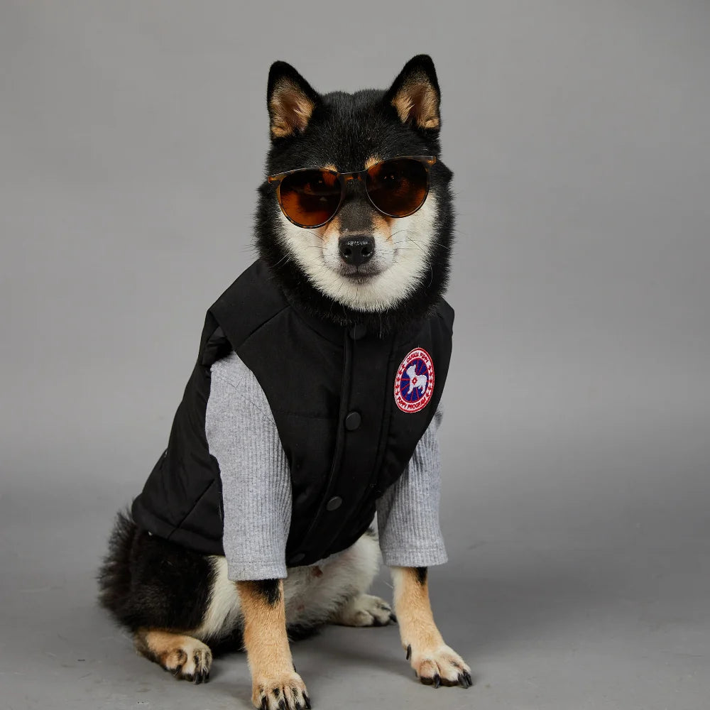 NONOR New Winter Pet Dog Clothes Cotton Vest Warm Windproof Dog Jacket French Bulldog Puppy Yorkshire Chihuahua Dog Costume