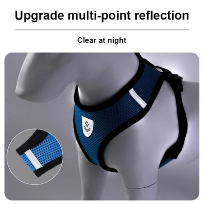 the MESHWALK COMFORT SET - Cat/Small Dog Breathable Mesh Harness and Leash, Kitten/Cats Harnesses, Little Dog/Puppy Harness for French Bulldog, Chihuahua, Pug