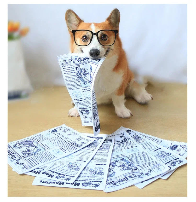 the NEWS DOG - Bite-Resistant Newspaper Dog Toys, Funny Squeaky Sounder, Sounding Paper Small/Medium Chew Dog Toys, French Bull, Easy Clean, Puppy
