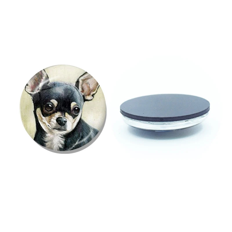 New Chihuahua Magnet Fridge Stickers Decoration Home Refrigerator Decor Glass Dome Crystal Souvenir