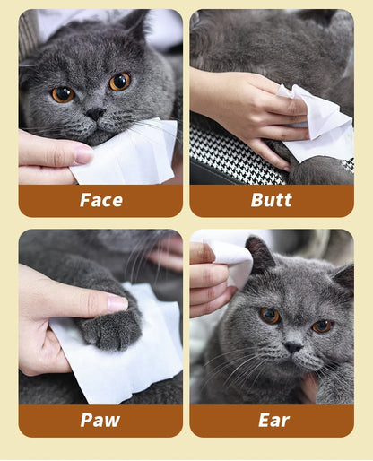 the GRAPE SEED OIL WIPES - 80PCS/Pack Pet Wipes, Disposable Pure Water Formula Pet Care, Dog and Cat Health Cleaning Deodorizing Wipes, Single-Use