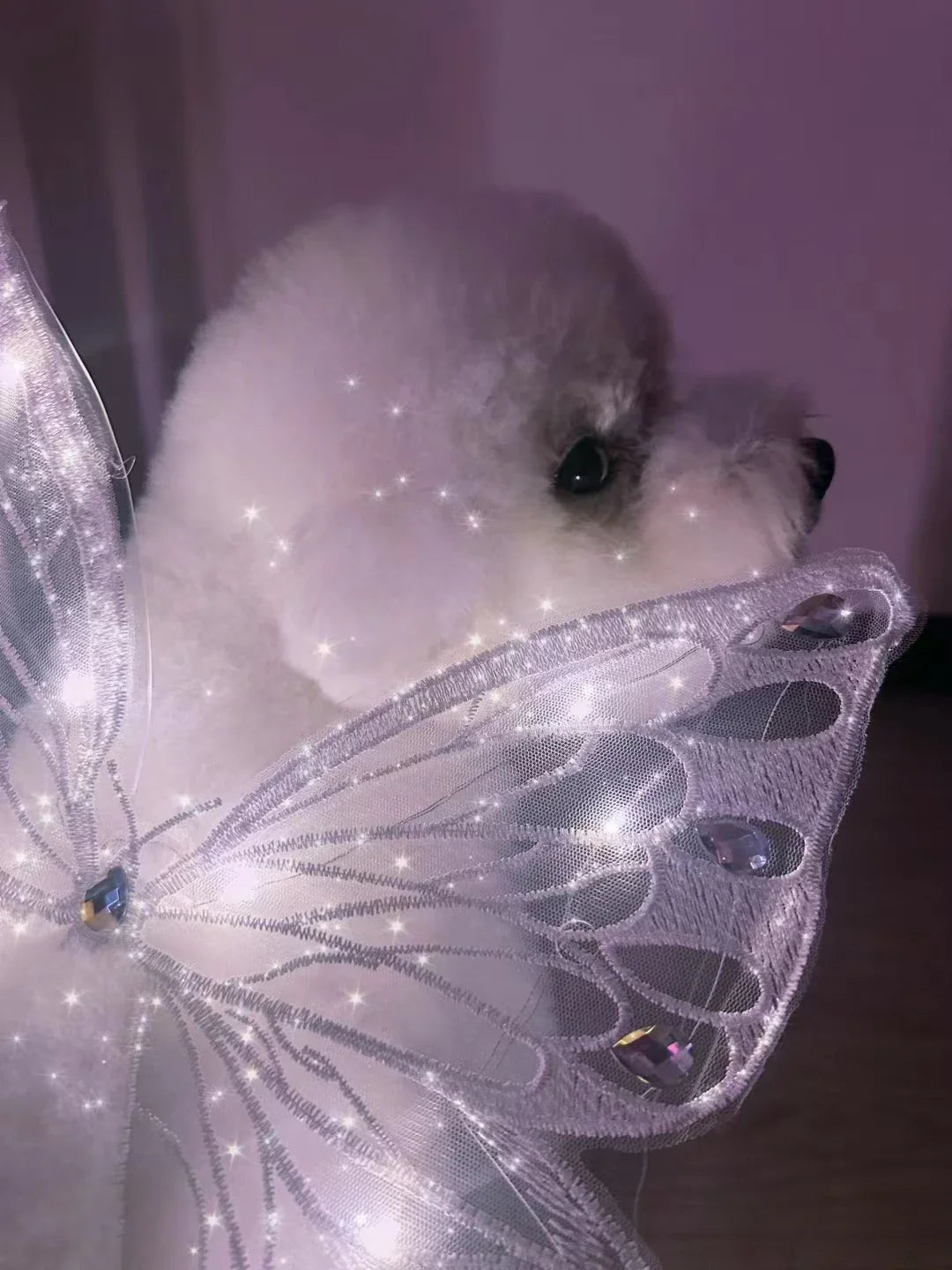 Dog wings glowing butterfly back decoration puppy summer clothes chest back decoration small dog Pomeranian Teddy Bigbear