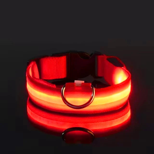 the GLOWTRAIL NIGHT COLLAR - BOOTEELY Nylon LED Night Safety Flashing Glow-in-the-Dark Dog Collar, Dogs Luminous Fluorescent Pet Dog Collar