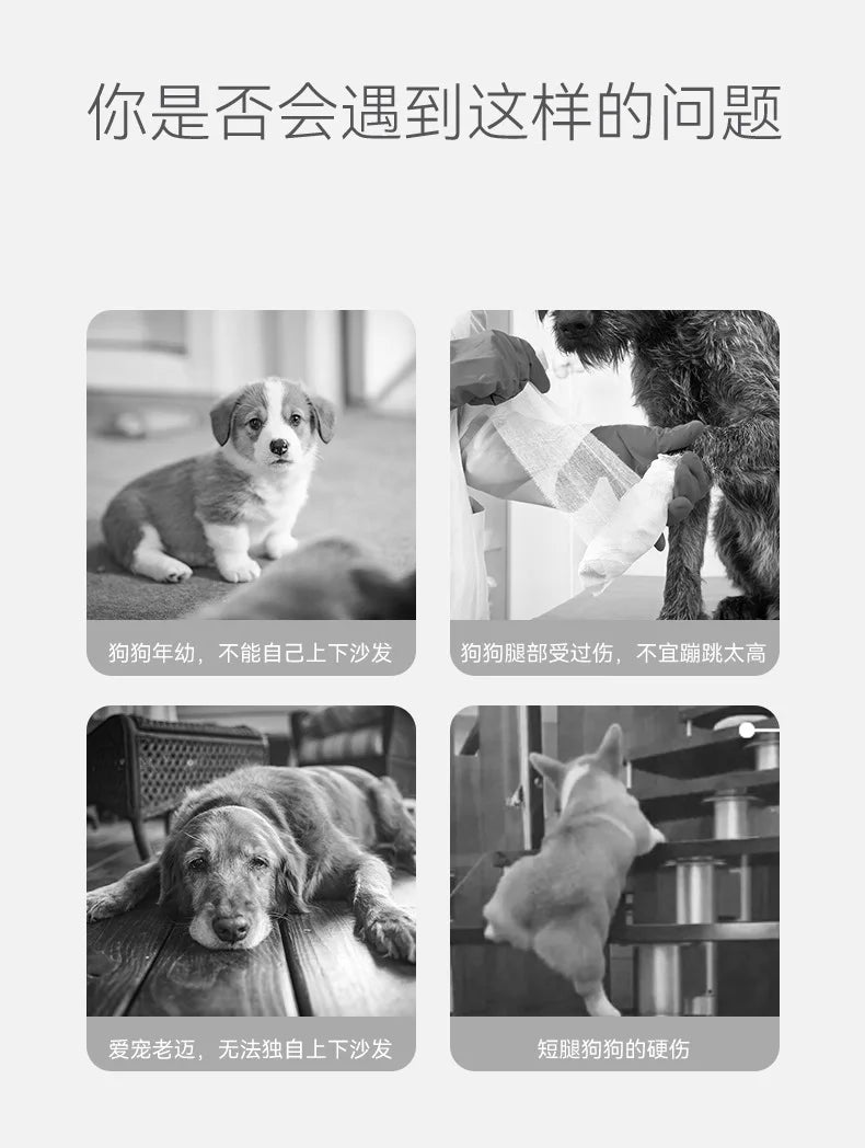 the DOGGY STAIRCASE - Non-Slip Pet Dog/Cat Ramp, Ladder Memory Foam Sponge, Older Dogs Sofa Removable and Washable Training Pet Ramp Stairs, Pet Supplies