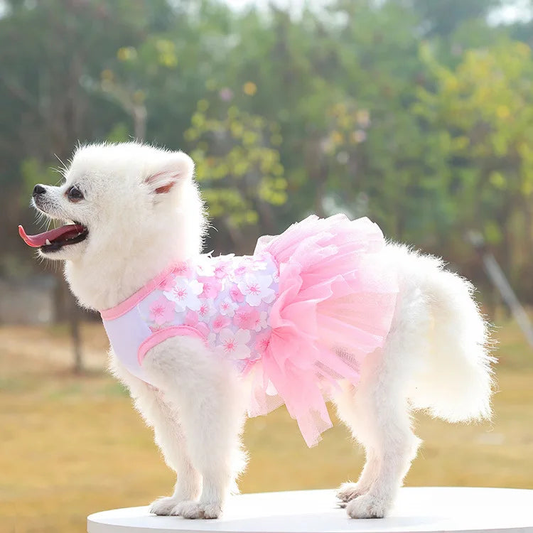 Lace Chiffon Dress for Small Dog Floral Dress Party Birthday Puppy Wedding Dress Summer Cute Costume Clothes for Pet Dogs Cat