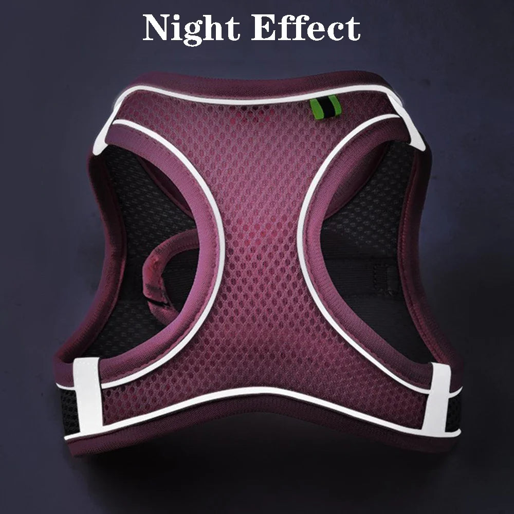 Safe Design Adjustable Cat/Dog Harness Vest for Small Medium Cat/Dogs Pet Harness Chest Rope & Reflective Strips Breathable