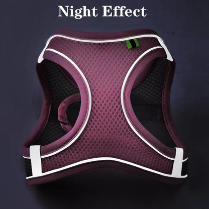 Safe Design Adjustable Cat/Dog Harness Vest for Small Medium Cat/Dogs Pet Harness Chest Rope & Reflective Strips Breathable