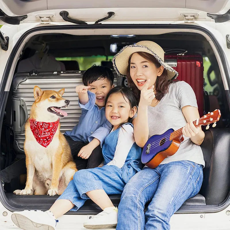 Adjustable Pet Puppy Cat Scarf For Cat Small Medium Large Dogs Bandana Collar Birthday Party Dress Up Pet Accessories