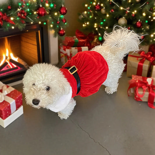 Christmas Dog Skirt Cute Pet Santa Claus Dress Costume for Small Medium Dogs Cat Puppy Cosplay Clothes Pug New Year Party Gifts