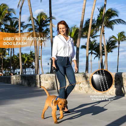 the DOGGY SEAT BELT - Dog Seat Belt Harness for Car, Restraint Adjustable with Elastic Bungee Buffer Headrest for Vehicle, 360° Swivel Carabiner Nylon