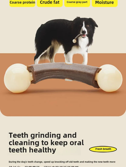 Yite Pet Eating and Playing Series Nylon Snacks Reward Teeth Grinding Bone Solitary Bite Resistant Stick Pet Toy