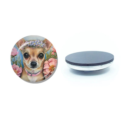New Chihuahua Magnet Fridge Stickers Decoration Home Refrigerator Decor Glass Dome Crystal Souvenir