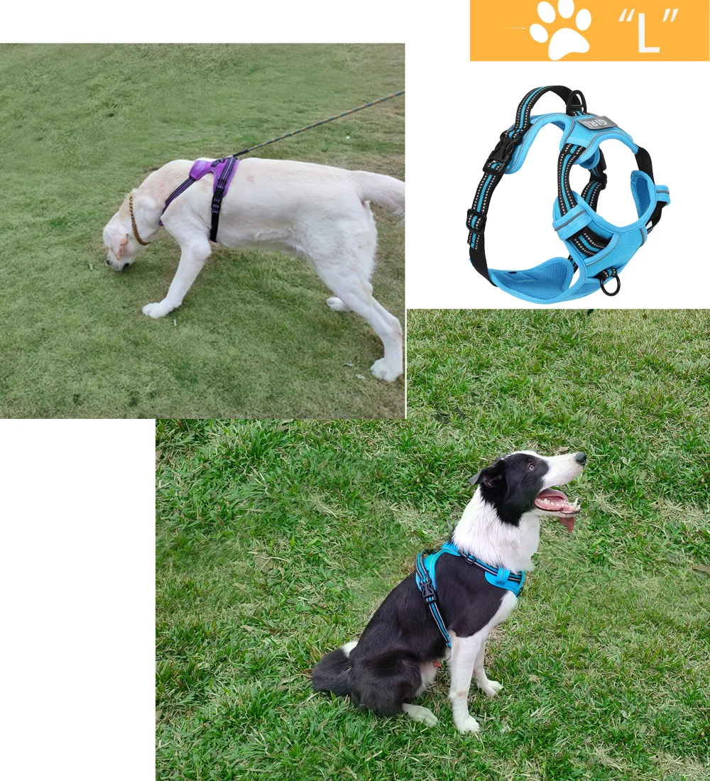 the REFLECTAGUARD PADDED HARNESS - Dog Harness, Pet Harness with Pull - 1 Leash Clip, Adjustable Padded Dog Vest, Reflective Non-Choking Pet Vest with Free Nameplate