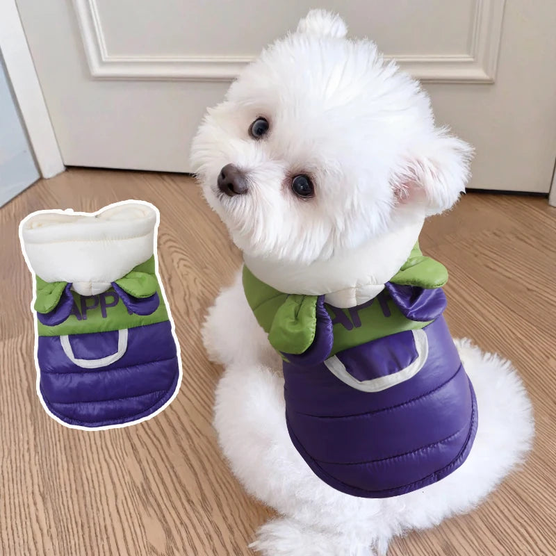 New Dog Clothing for Small Breeds - Corgi Dog Winter and Autumn Model with Warm Insulation and A Leash Ring