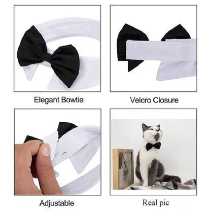 the DAPPER PUP BOW TIE COLLAR - 1PC Pets Puppy/Dogs/Cats Adjustable Bow Tie, Collar Necktie Bowknot, Bowtie Holiday Wedding Decoration, Grooming Accessories